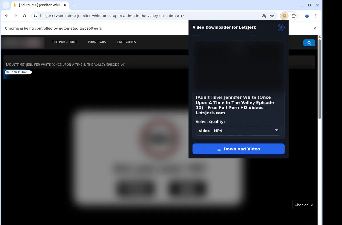 Letsjerk Video Downloader browser extension screenshot 3